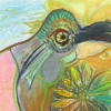 Le Toucan
